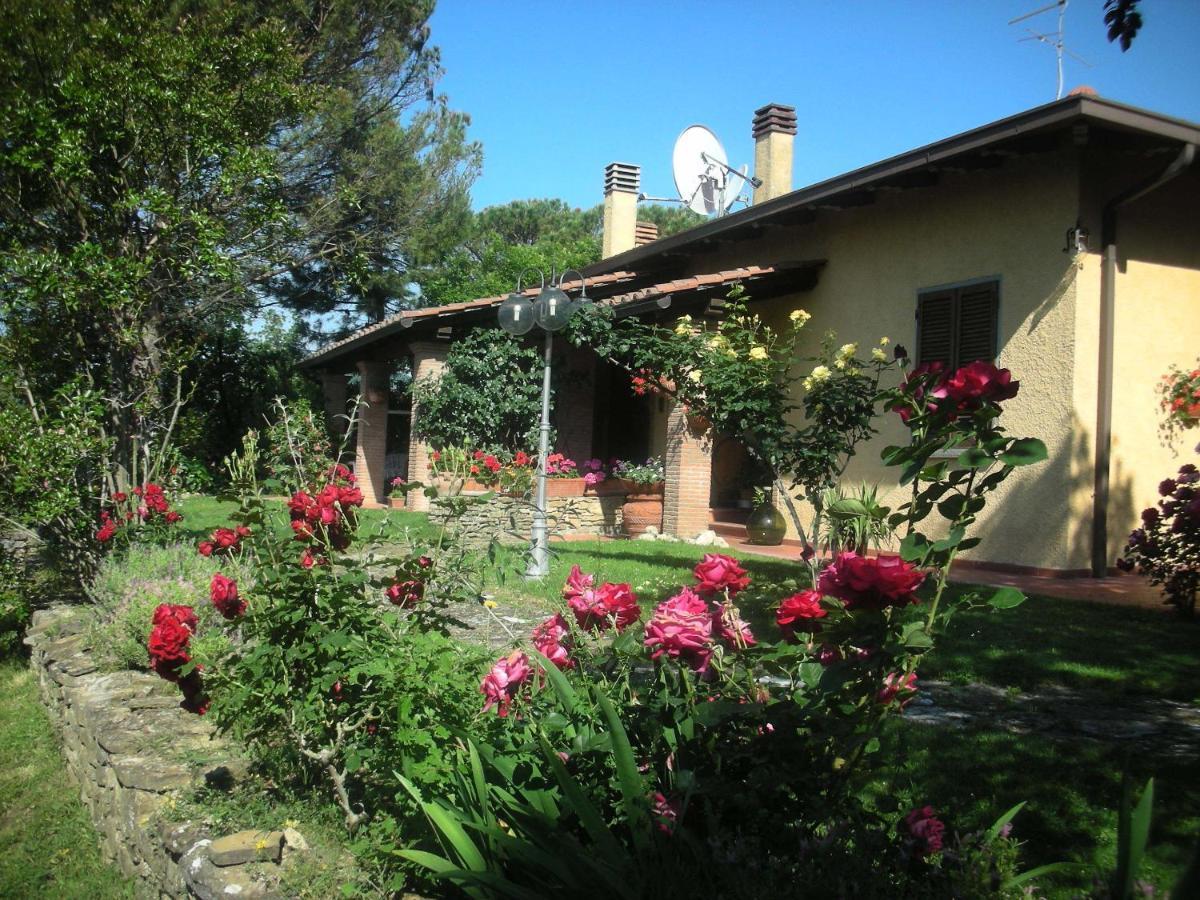 Villaspino Capolona Exteriér fotografie