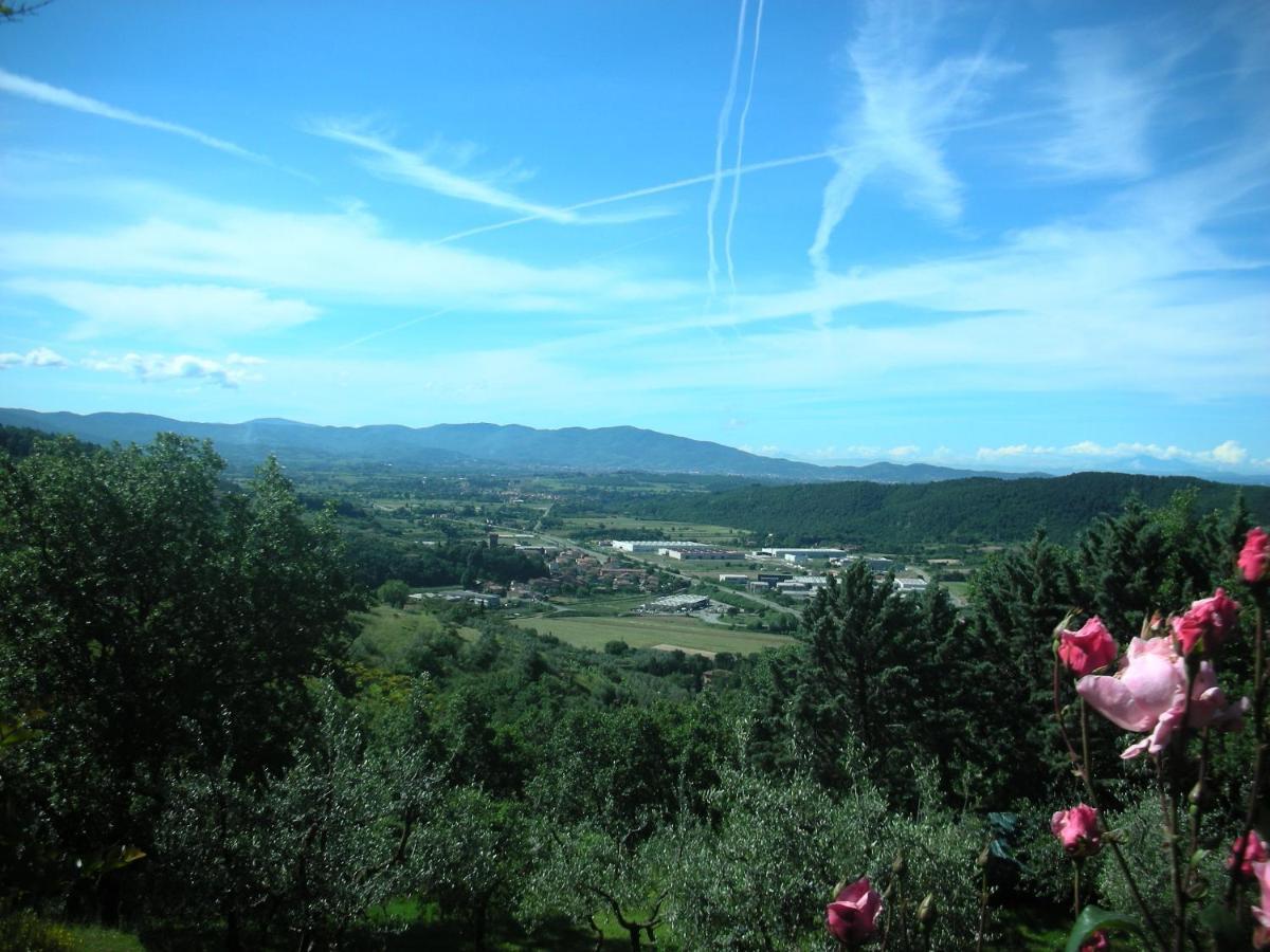 Villaspino Capolona Exteriér fotografie