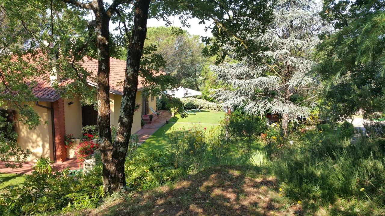 Villaspino Capolona Exteriér fotografie