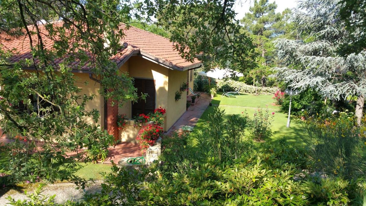 Villaspino Capolona Exteriér fotografie
