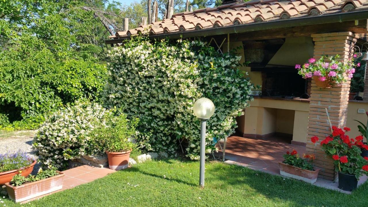 Villaspino Capolona Exteriér fotografie