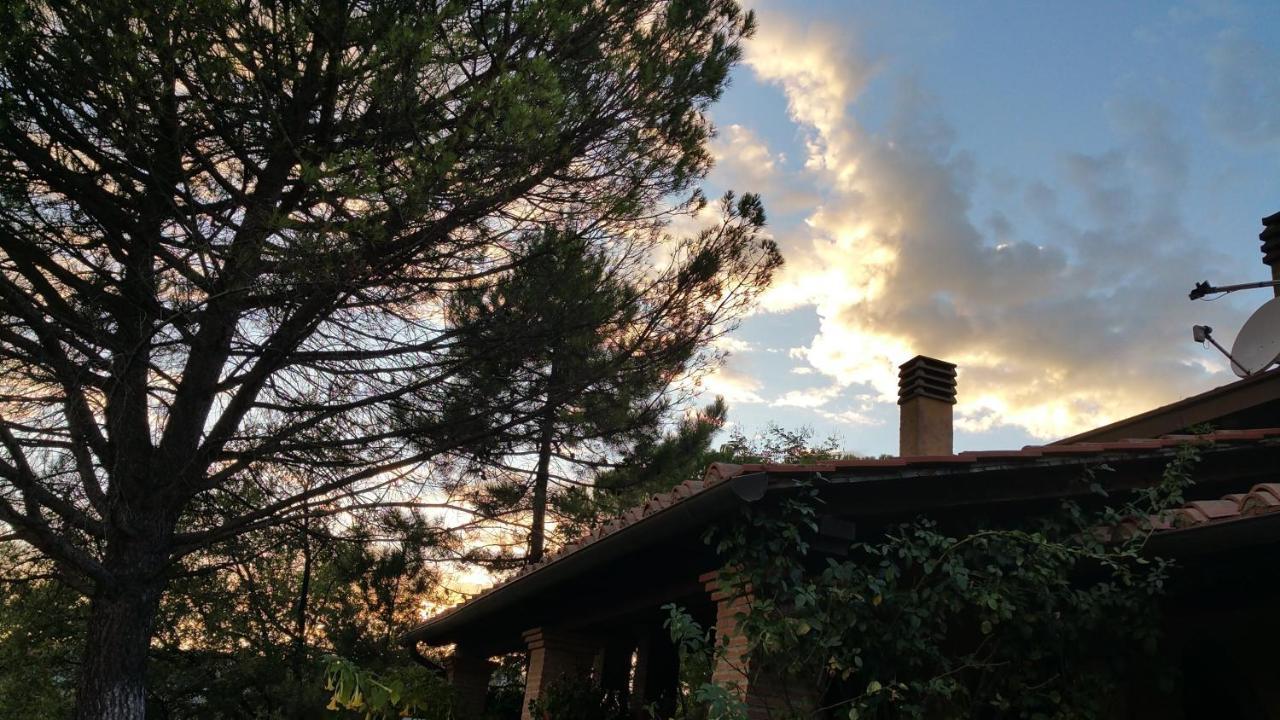Villaspino Capolona Exteriér fotografie