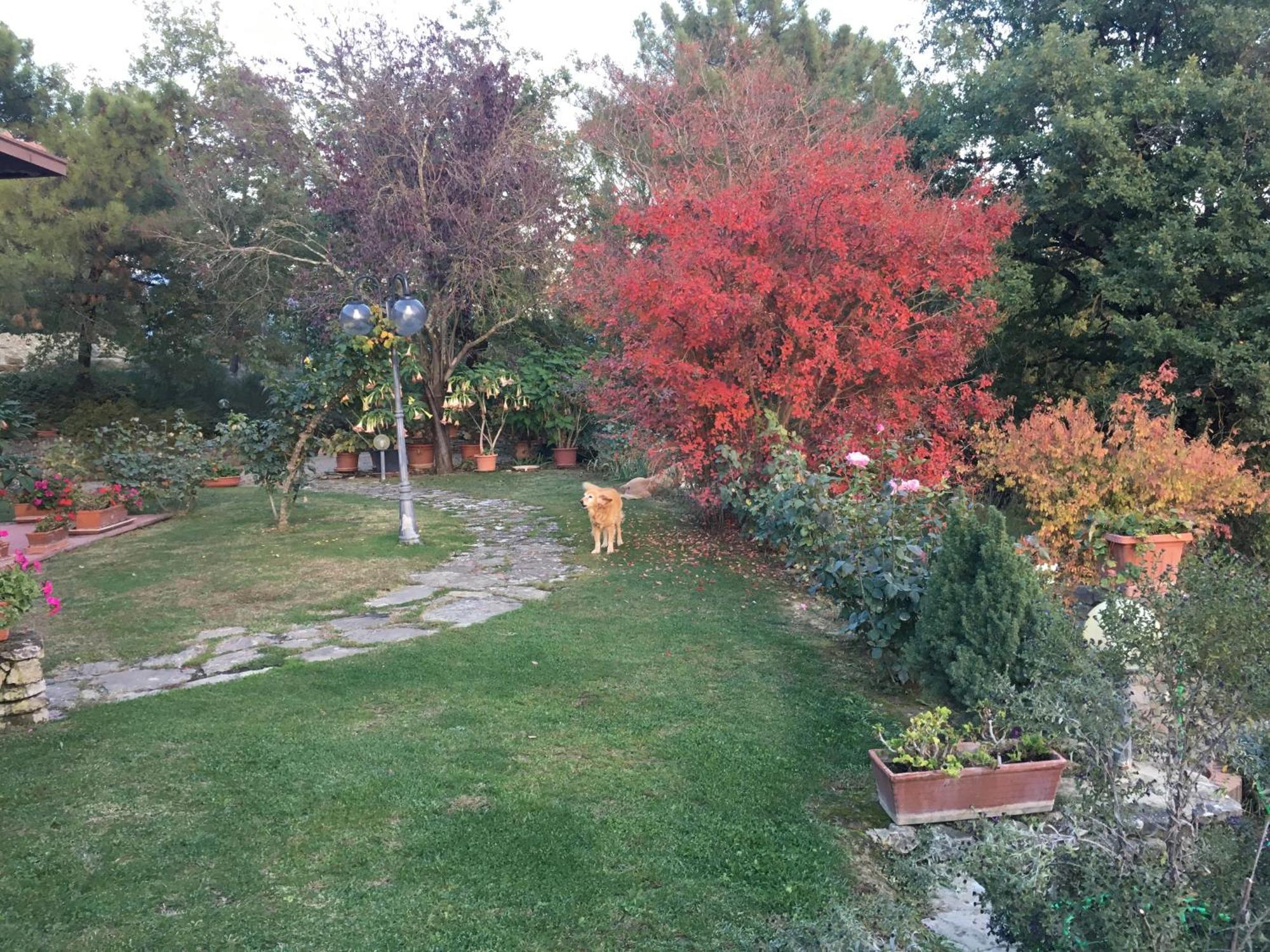 Villaspino Capolona Exteriér fotografie