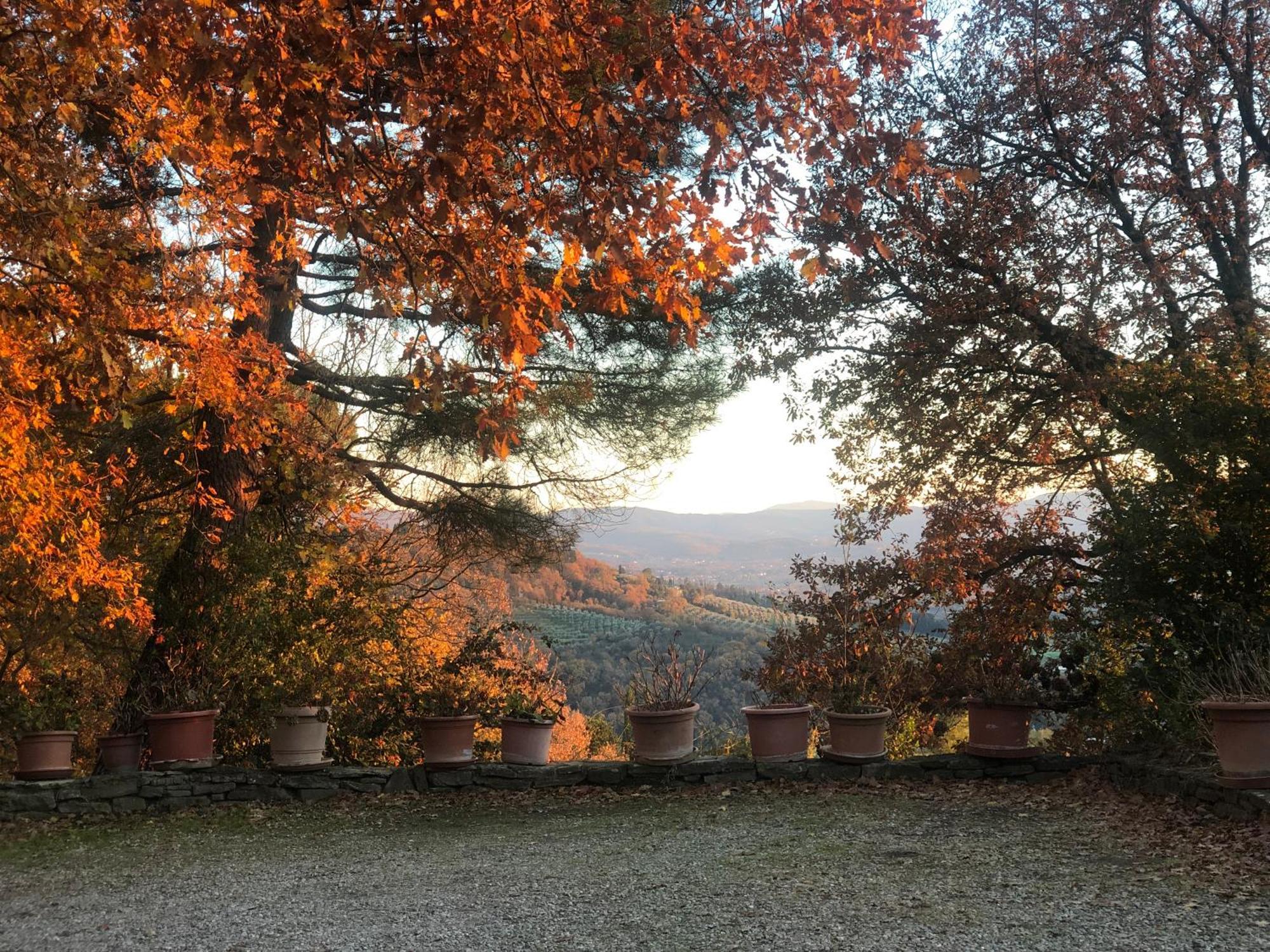 Villaspino Capolona Exteriér fotografie